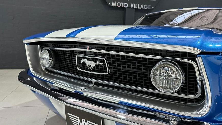 Баварский «Мустанг» родом из ЮАР