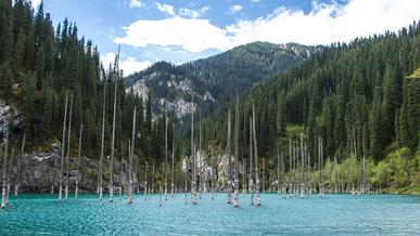 Қайыңды көліне апаратын жолға асфальт төселеді