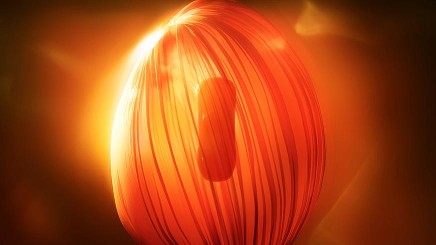 Toyota покажет кросс-купе Century и трёхосный минивэн Lexus LS