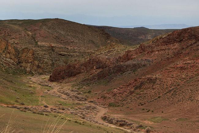 1112-articles-main-1398232340