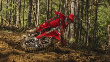 В линейке Ducati появился эндуро