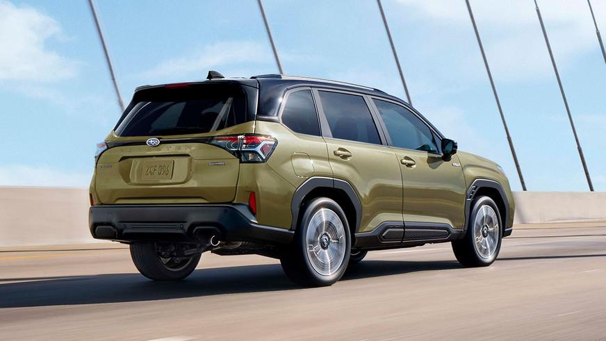 Показаны Subaru Forester Hybrid и Wilderness