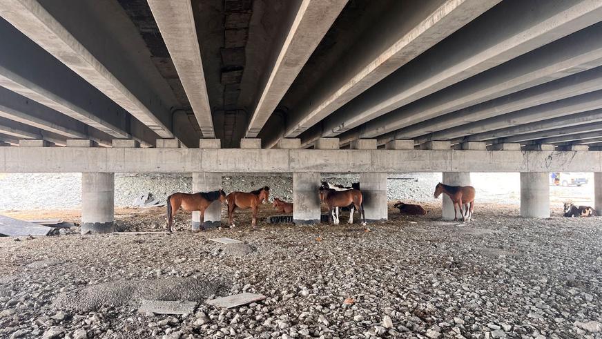 Какой стала трасса М-36 от Алматы до Балхаша и отрезок Курты – Бурылбайтал?