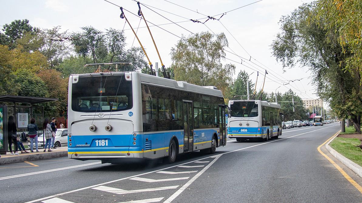 Алматыда BRT жолағы жол шетіне сызыла&nbsp;ма?