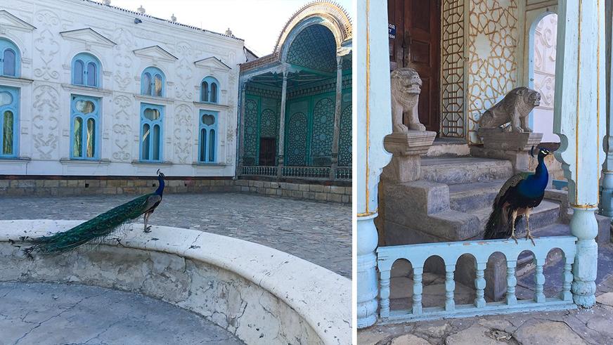 В Узбекистан на автомобиле. А на электромобиле уже тоже можно?