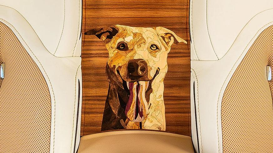 Купе Rolls-Royce посвятили собаке