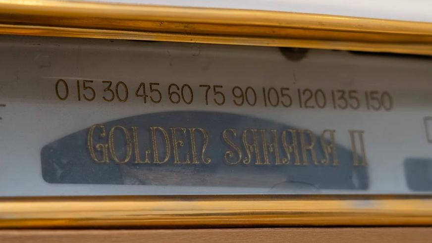 «Золотую Сахару» выставили на аукцион