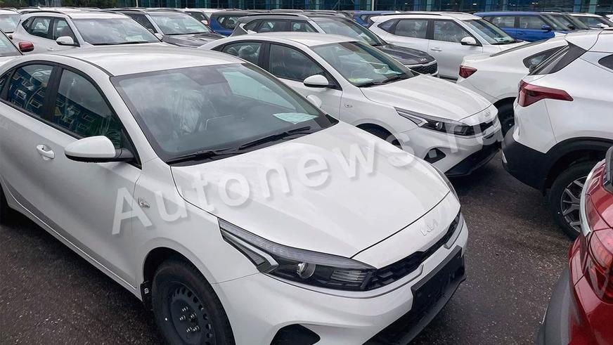 Сотни новых Kia простаивают в&nbsp;Калининграде второй год
