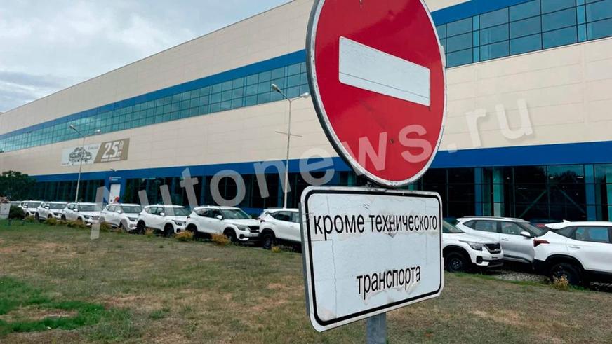 Сотни новых Kia простаивают в&nbsp;Калининграде второй год