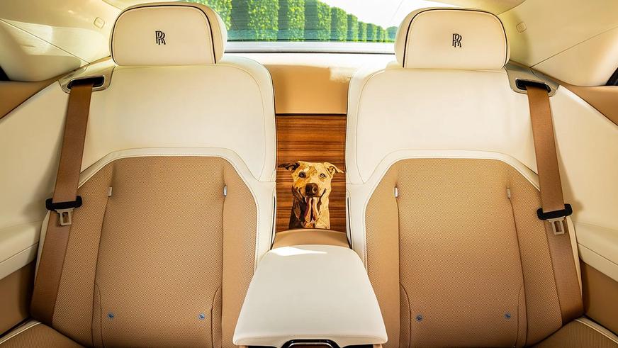 Купе Rolls-Royce посвятили собаке