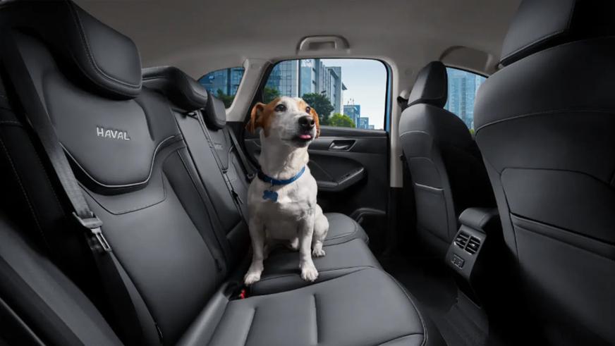 Haval Jolion в Казахстане. Известны цены