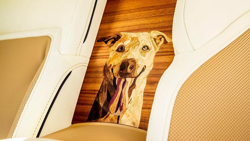 Купе Rolls-Royce посвятили собаке