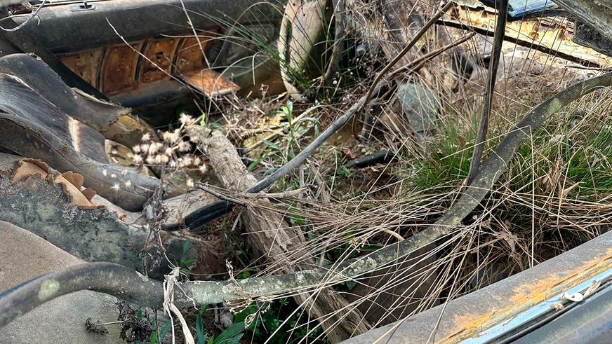 Двадцать лет под водой. Утопленную Acura NSX нашли случайно и продали