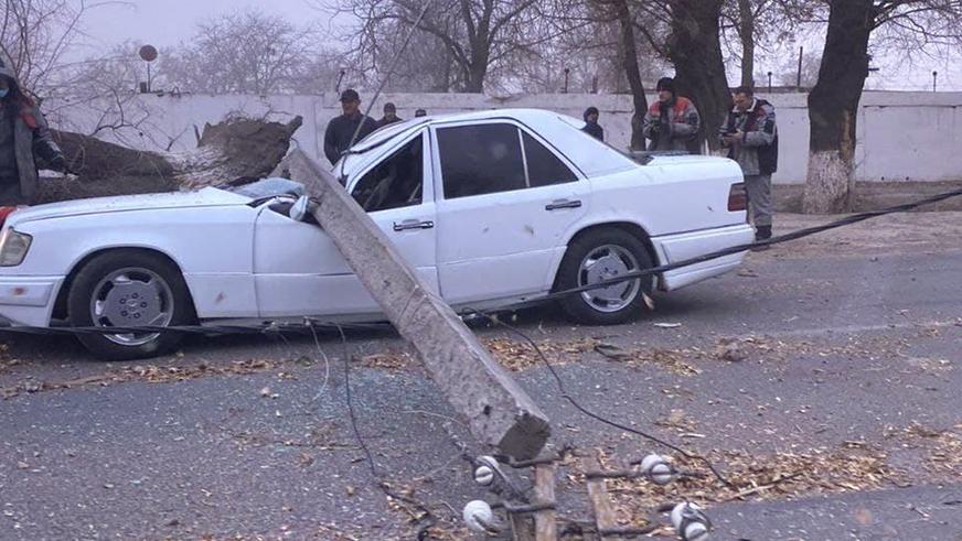 Ураган и снегопад в Южном Казахстане