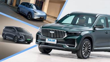 Tesla Қытай нарығында көшбасшы орнынан айырылды
