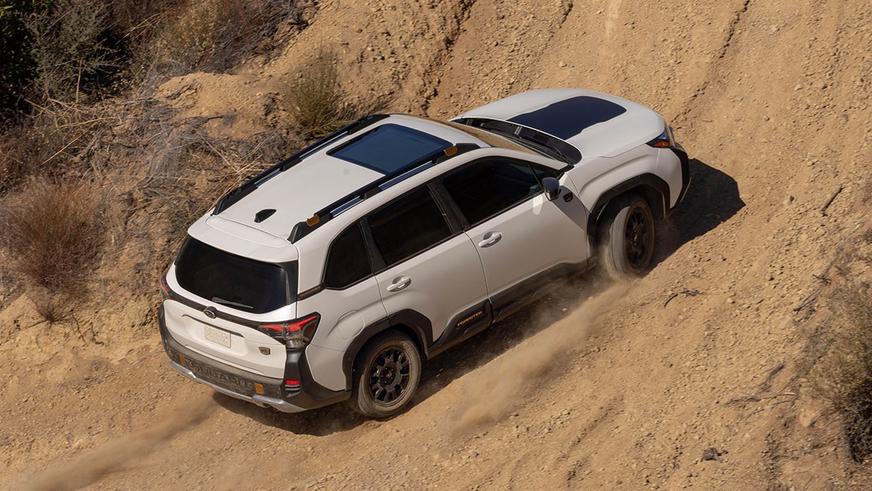 Показаны Subaru Forester Hybrid и Wilderness