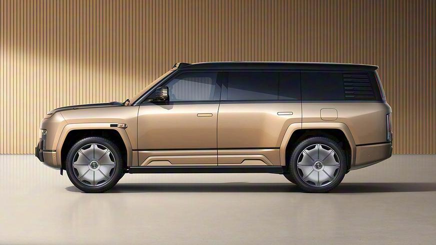 Внедорожник Yangwang U8L ударили пальмой по крыше и сбросили в воду