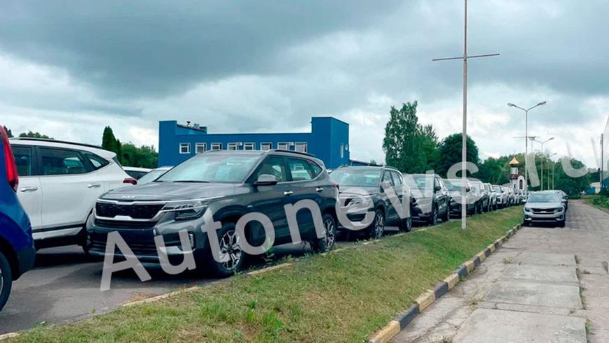 Сотни новых Kia простаивают в&nbsp;Калининграде второй год