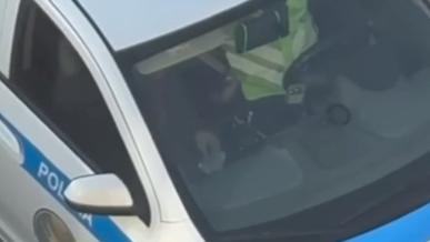 Жүргізуші көлік ішінде полицейге не&nbsp;берді?