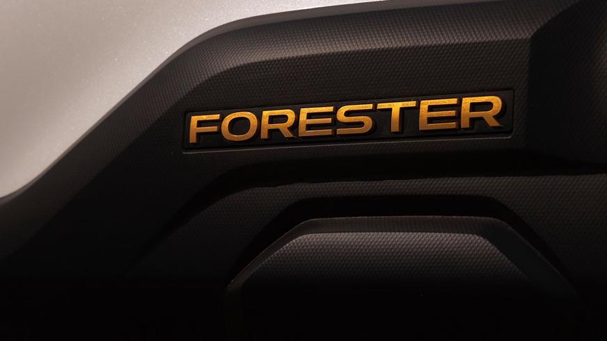 Показаны Subaru Forester Hybrid и Wilderness