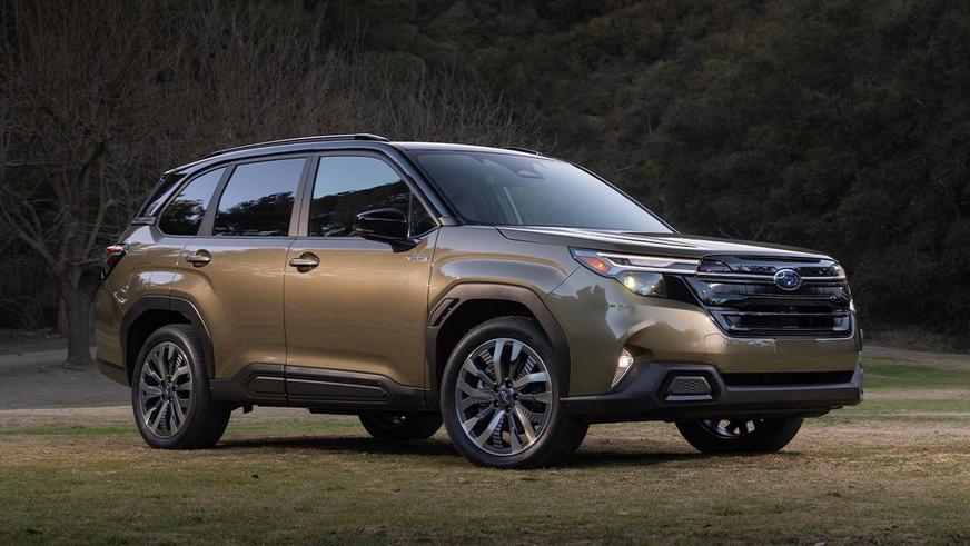 Показаны Subaru Forester Hybrid и Wilderness