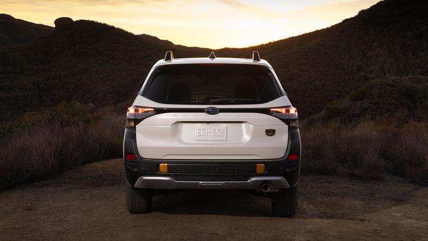 Показаны Subaru Forester Hybrid и Wilderness
