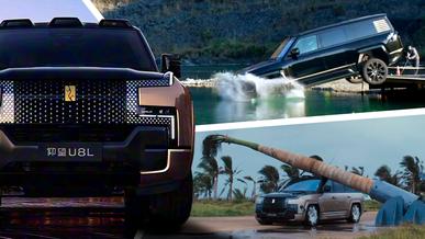 Внедорожник Yangwang U8L ударили пальмой по крыше и сбросили в воду