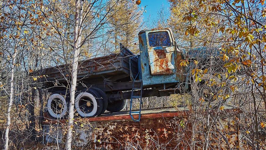 Импорт машин за железный занавес 