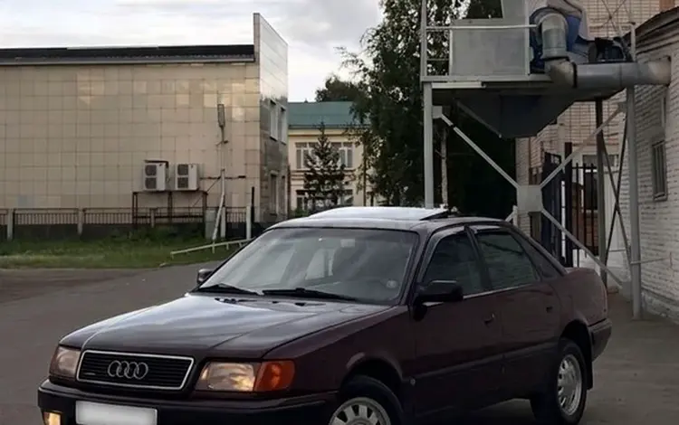 Audi 100 1992 года за 2 000 000 тг. в Петропавловск