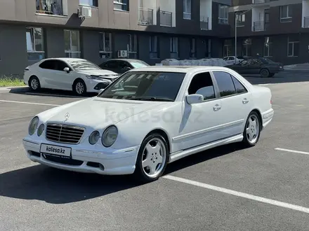 Mercedes-Benz E 55 AMG 2001 года за 6 500 000 тг. в Алматы – фото 4