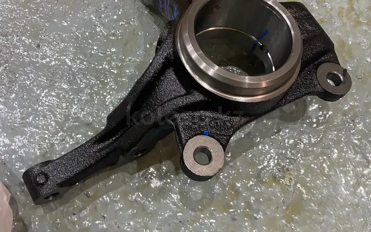 Цапфа передняя, цапфа задняя, поворотный кулак Hyundai 19-26 за 20 000 тг. в Алматы