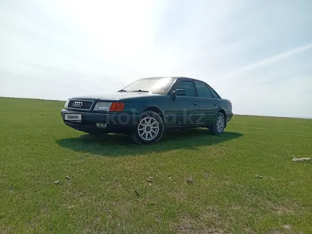 Audi 100 1993 года за 2 400 000 тг. в Тараз – фото 9