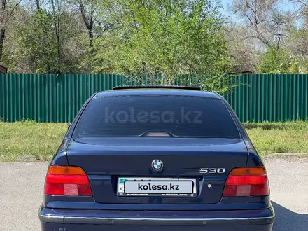 BMW 530 2000 года за 3 700 000 тг. в Талдыкорган – фото 5