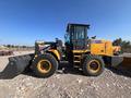 XCMG  LW 300 FN 2025 года за 14 000 000 тг. в Шымкент – фото 3