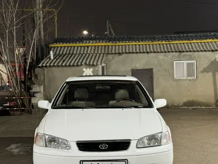 Toyota Camry 1999 года за 3 650 000 тг. в Шымкент