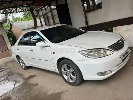 Toyota Camry 2004 года за 3 200 000 тг. в Шымкент