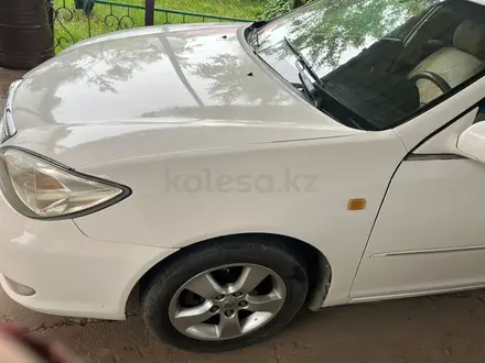 Toyota Camry 2004 года за 3 200 000 тг. в Шымкент – фото 5