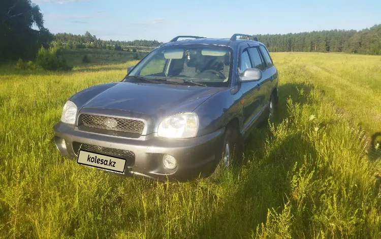 Hyundai Santa Fe 2003 годаүшін3 970 000 тг. в Астана