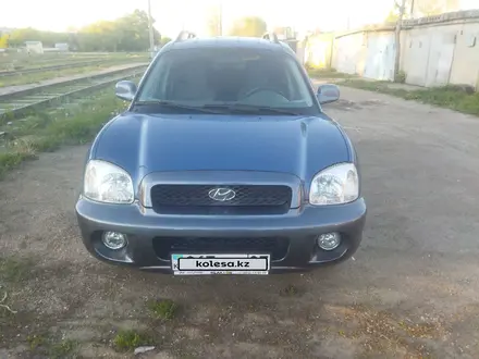 Hyundai Santa Fe 2003 года за 3 970 000 тг. в Астана – фото 12
