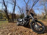 Harley-Davidson  Dyna Street Bob 2009 годаfor4 000 000 тг. в Алматы