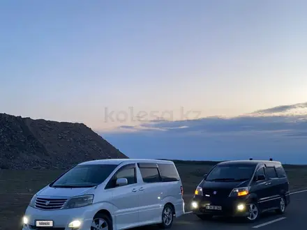 Toyota Alphard 2008 года за 5 000 000 тг. в Атырау – фото 6