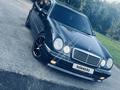 Mercedes-Benz E 55 AMG 1998 года за 6 500 000 тг. в Петропавловск – фото 10