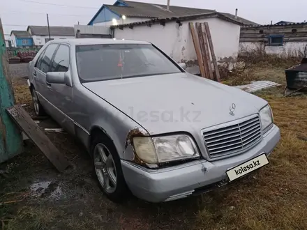 Mercedes-Benz S 320 1995 года за 1 800 000 тг. в Акколь (Аккольский р-н) – фото 3