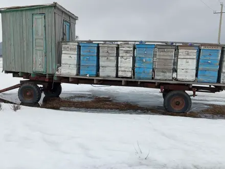 ПАЗ 1980 года за 500 000 тг. в Макинск