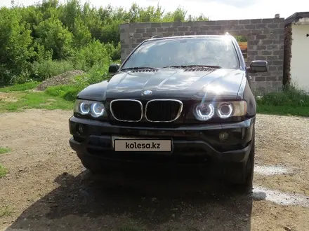 BMW X5 2001 года за 5 200 000 тг. в Усть-Каменогорск – фото 3