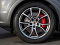 Porsche Cayenne Coupe S 2025 года за 99 900 000 тг. в Астана – фото 19