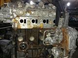 Двигатель ниссан X-Trail T-30 2.2 DIZ, YD 2.2 за 530 000 тг. в Караганда – фото 2