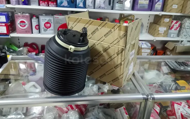 Задние подушки балонны за 99 000 тг. в Астана