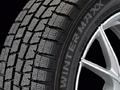 225/55R17 Winter Maxx WM01 101T Dunlop за 43 000 тг. в Алматы