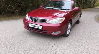 Toyota Camry 2003 года за 3 900 000 тг. в Усть-Каменогорск